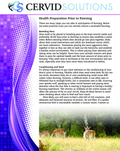 HealthPreparation-1